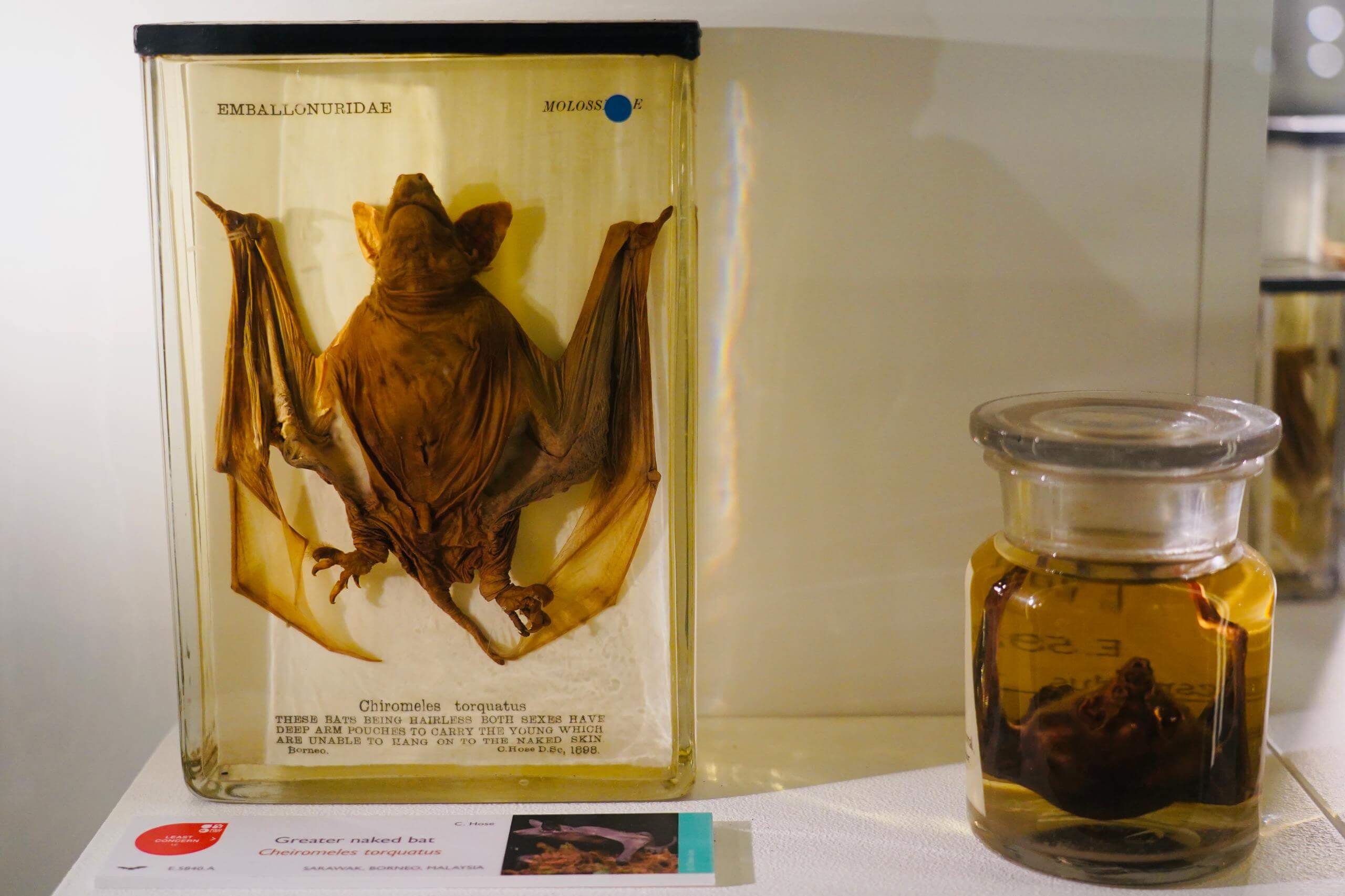 线上预订，更享优惠