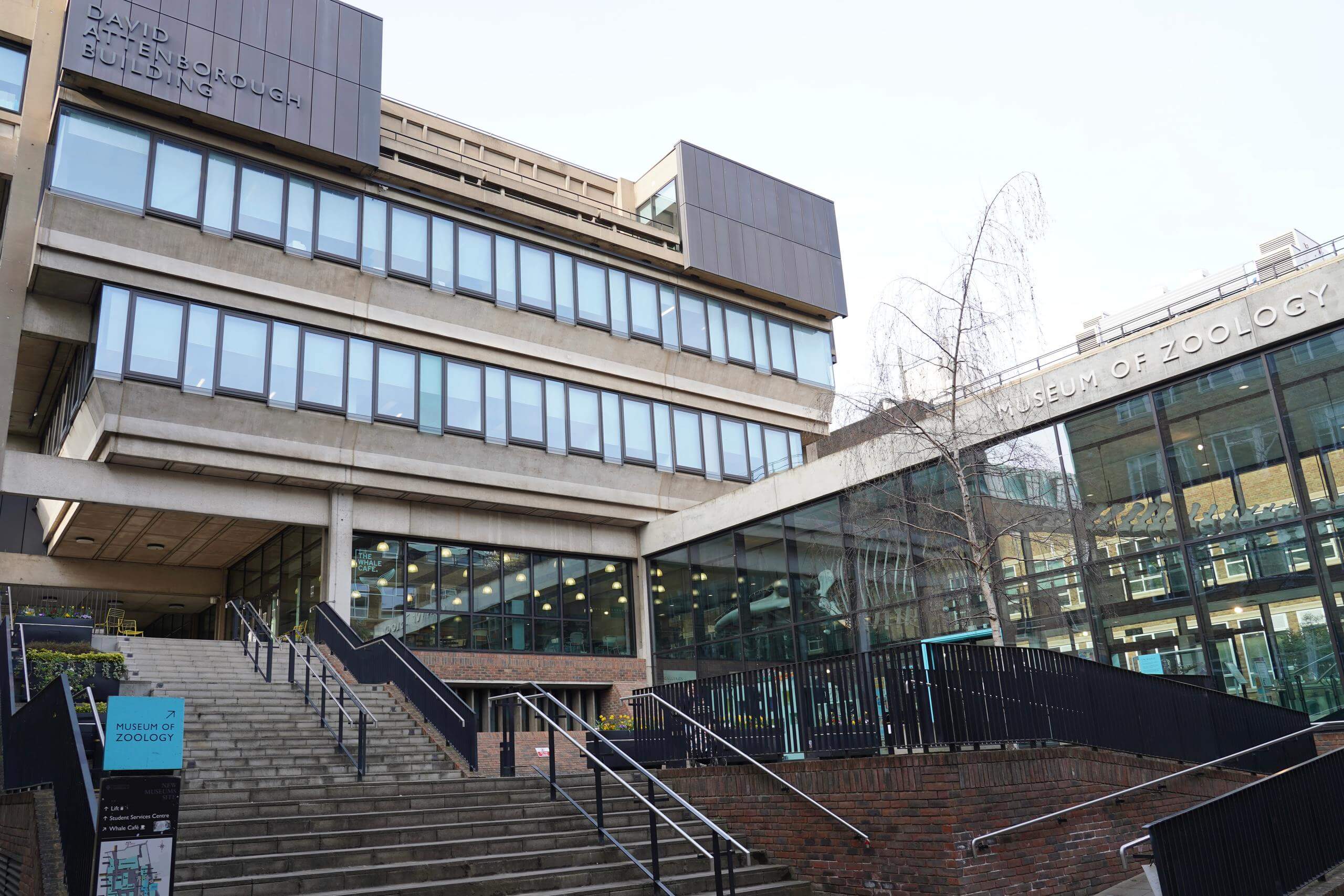 剑桥动物学博物馆讲解