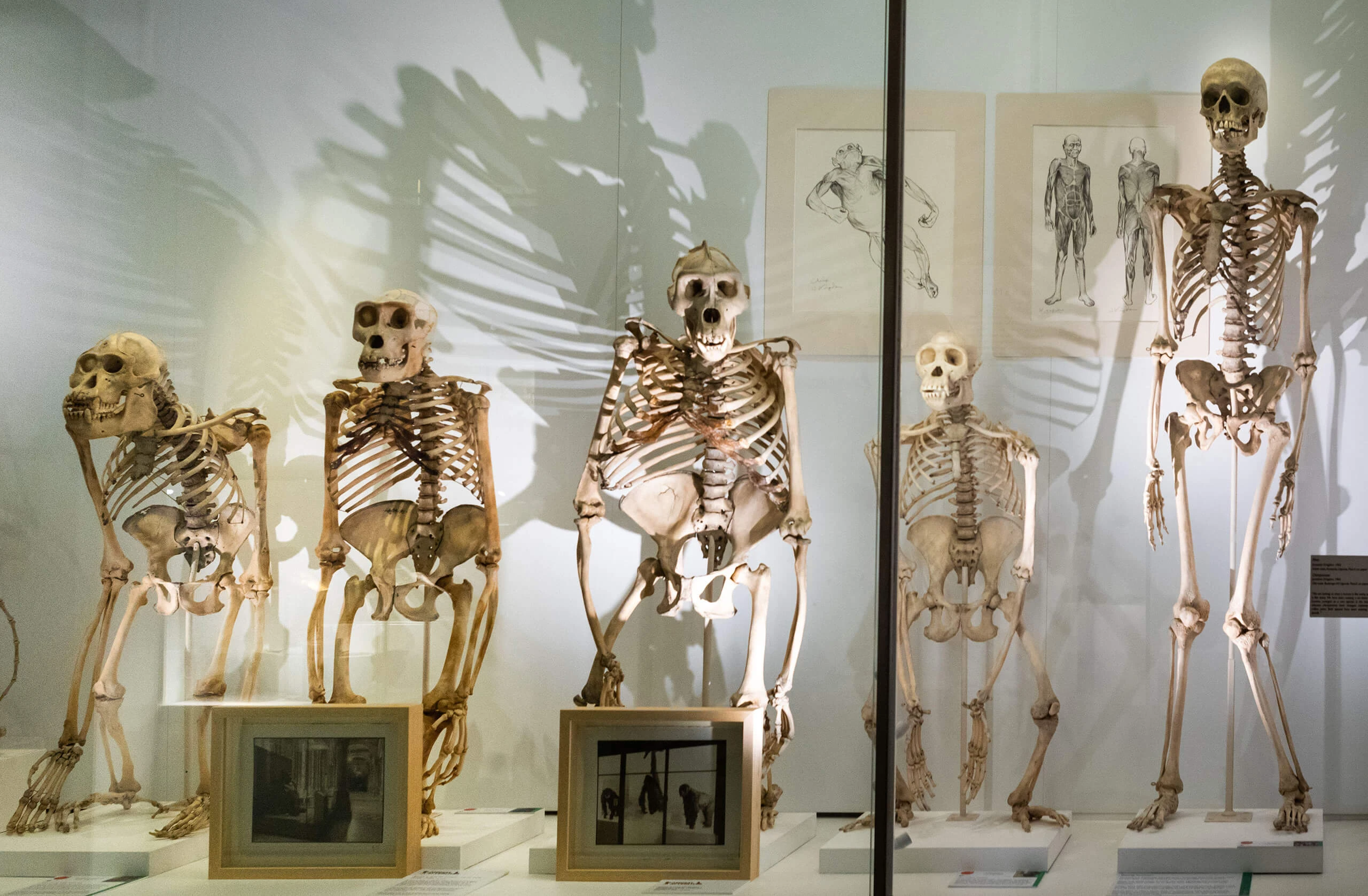 Better Rates with Online Booking