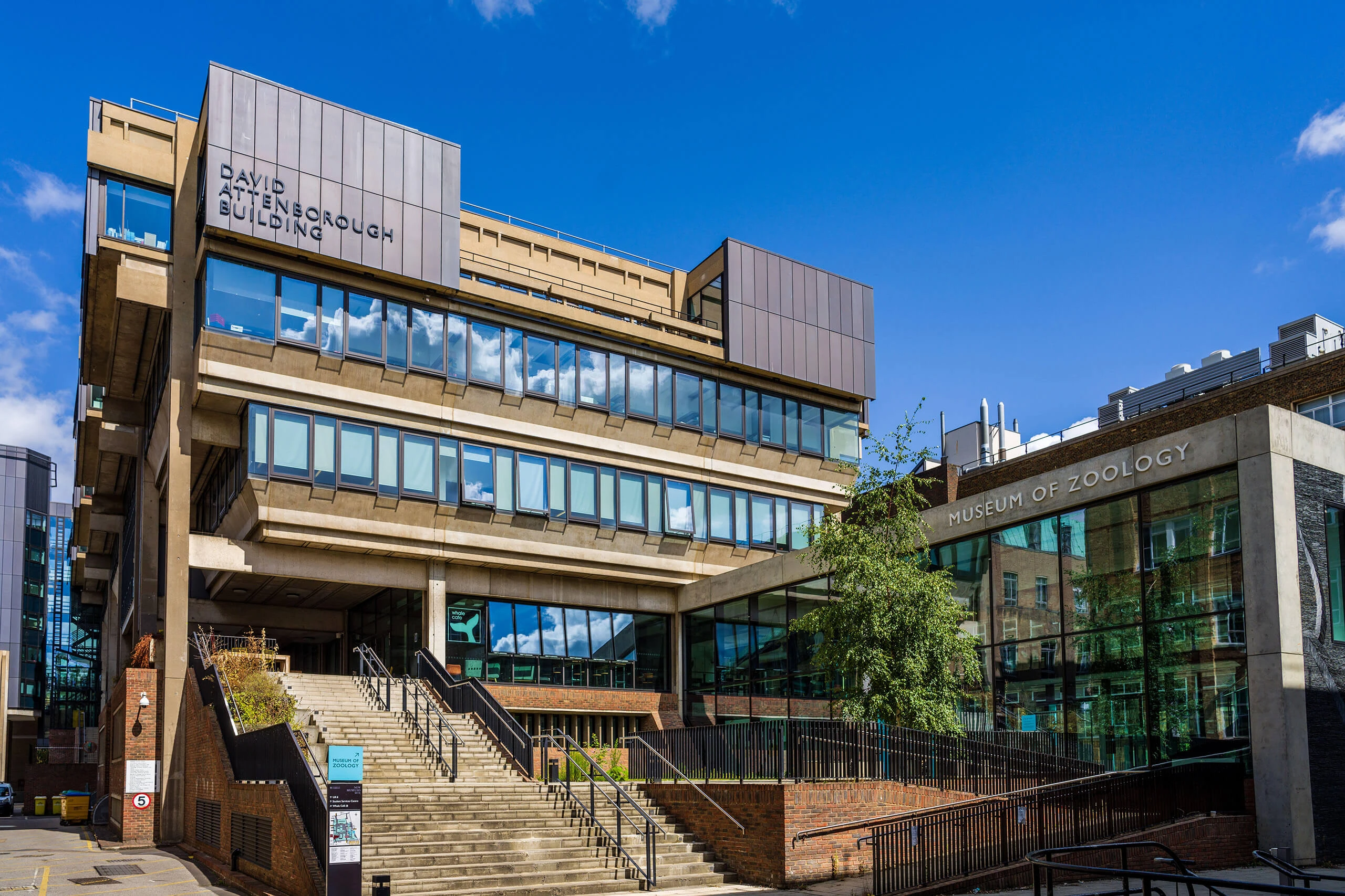 Private Cambridge Zoology Museum Guided Tour