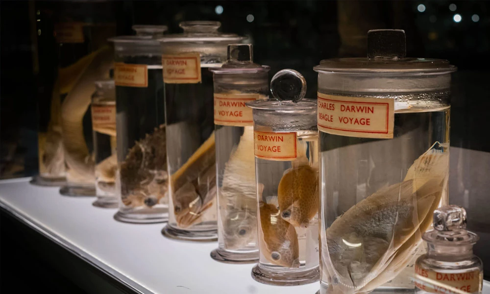 Private Zoology Musuem Tour